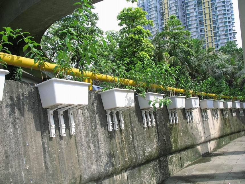 1574680315121465.jpg 3151374261_1494822331.jpg